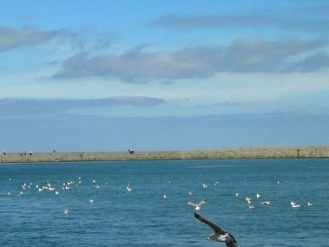 Port-en-Bessin-Huppain