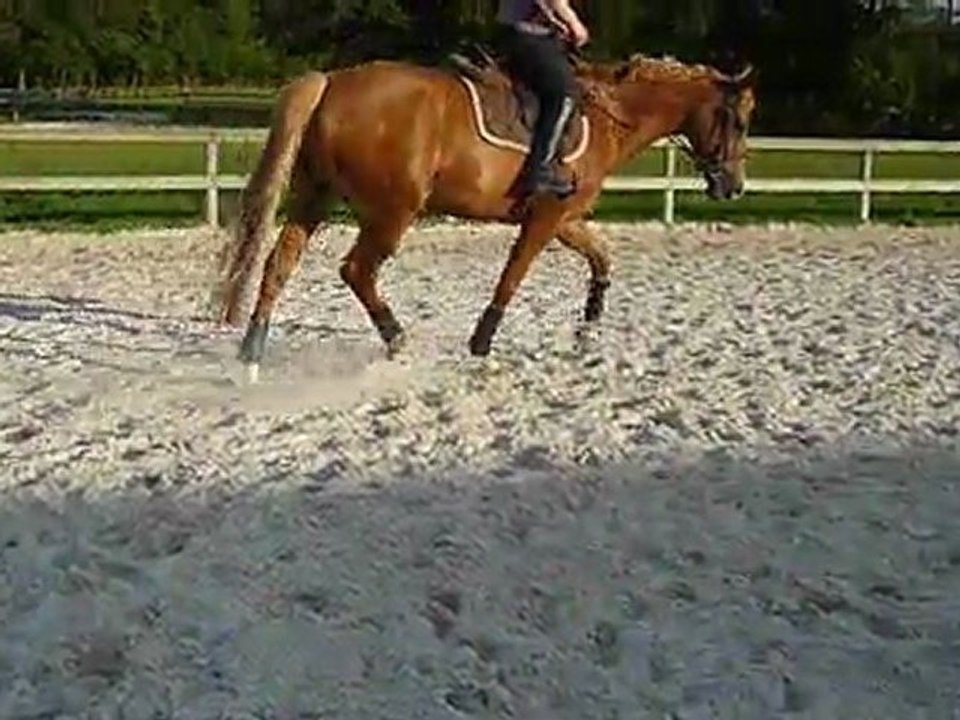 Petites voltes aux deux mains mercredi 24 août 2011