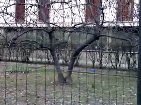 Video realizzato da Nokia N8 (sincrono con Nokia E7)