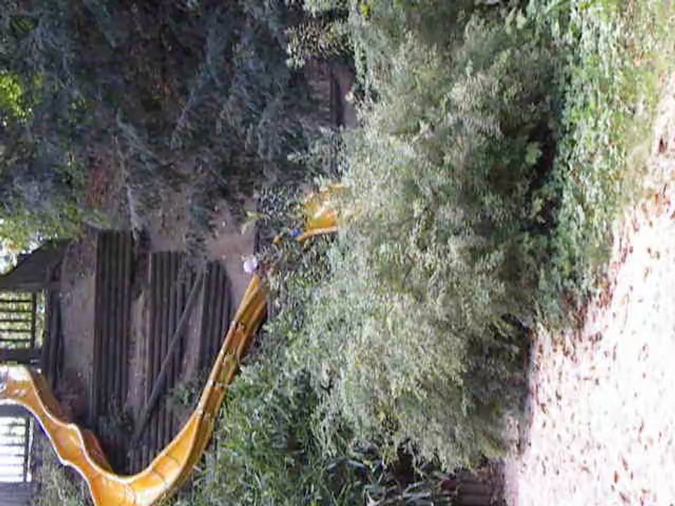 TOBOGGAN PARC FLORAL