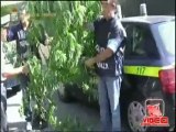 Pozzuoli (NA) - Sequestrata fabbrica di falsi e marjuana