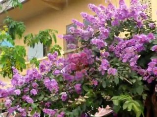 จะเป็นคนดีของเธอ..ຈະເປັນຄົນດີຂອງເທີ ..Japen Kondee Kong Thur