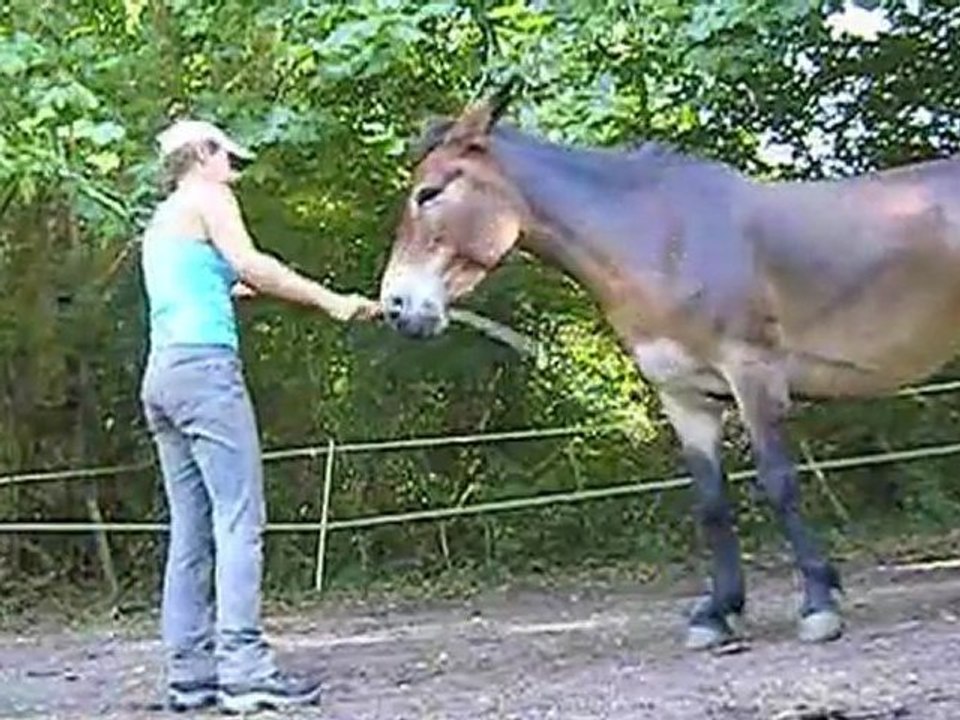 début liberté Métisse-08-11