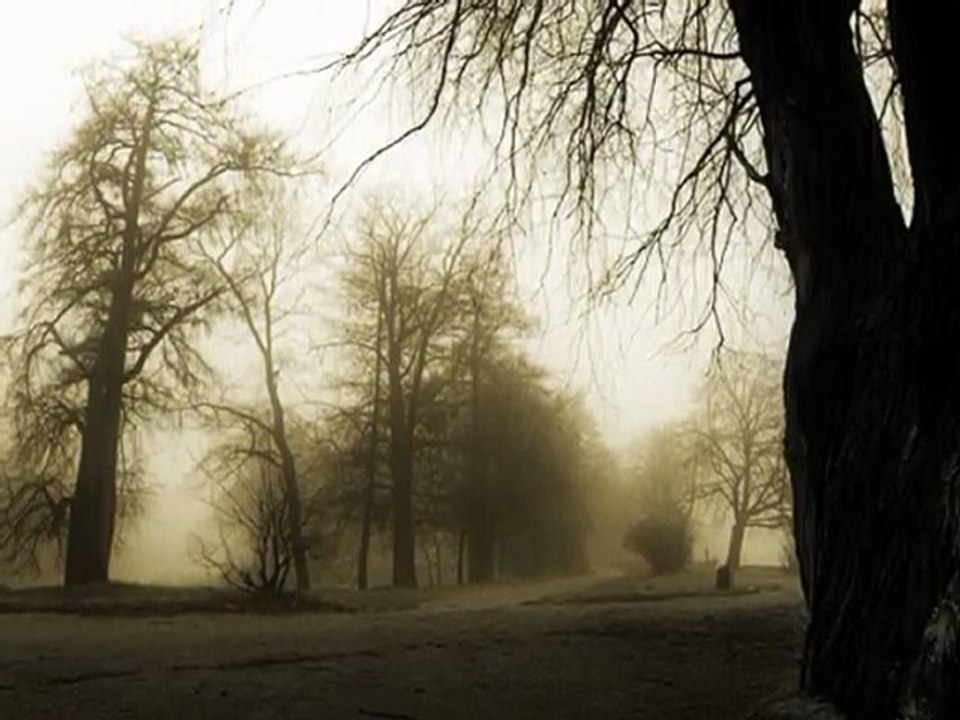 AYTEN ALPMAN-BEN VARIM