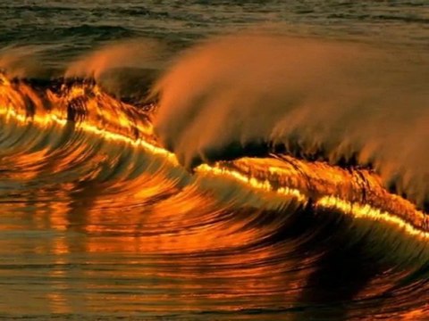 BU KALP SENİ UNUTURMU