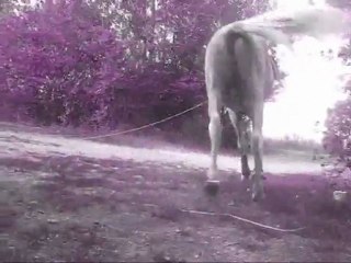 L'OOouuu ♥ Laetii', Soww, à la longe  :)