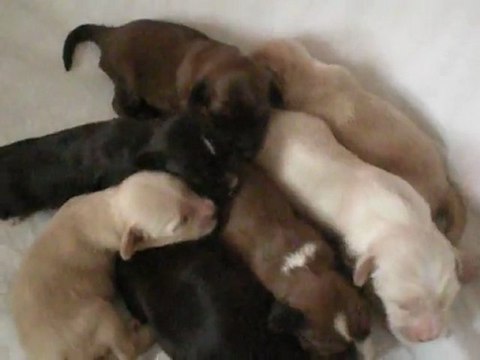 Les bébés ont presque 2 semaines!