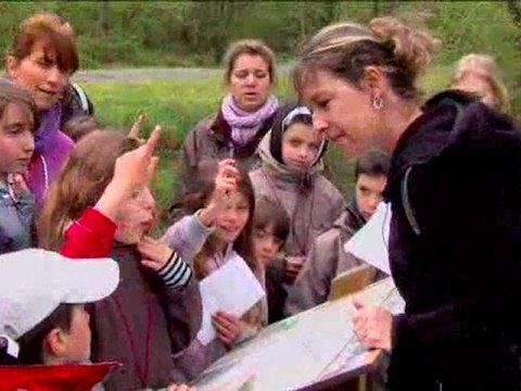 Promenons nous dans les bois à St Paul en Born - Landes