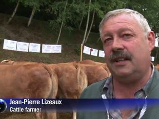 Can Francois Hollande take on Nicolas Sarkozy?