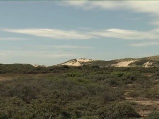 Le système dunaire du Grand Site des Deux Caps