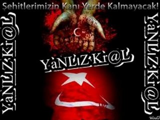 yanlız kral beat sehitler ölmez video
