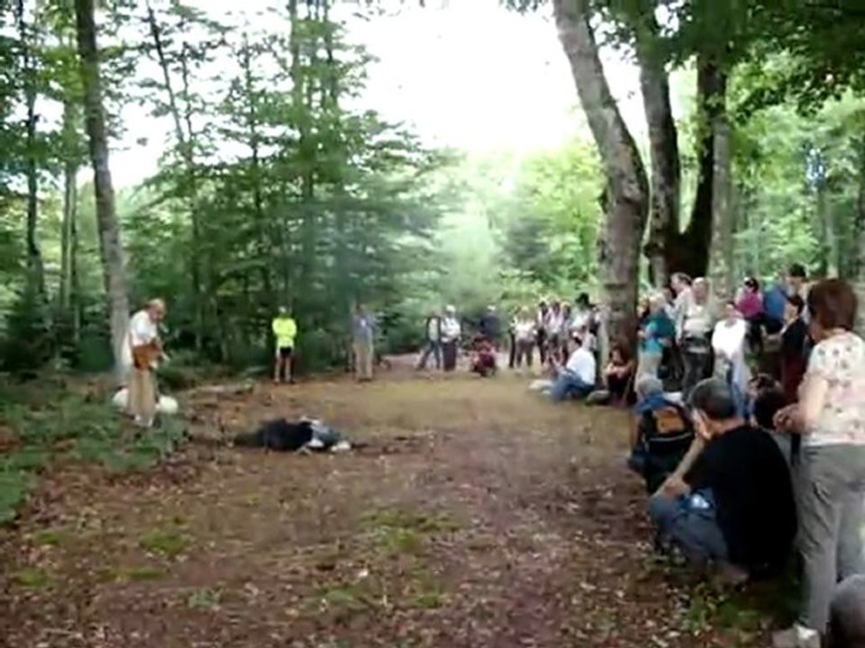 Chemins de Rencontres 2011 : Le songe de Don Quichotte