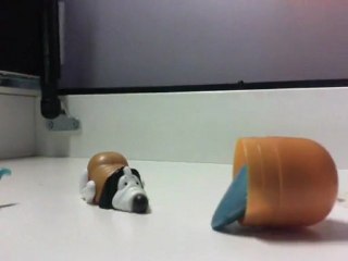 Frayeur de chien - 26/08/2011