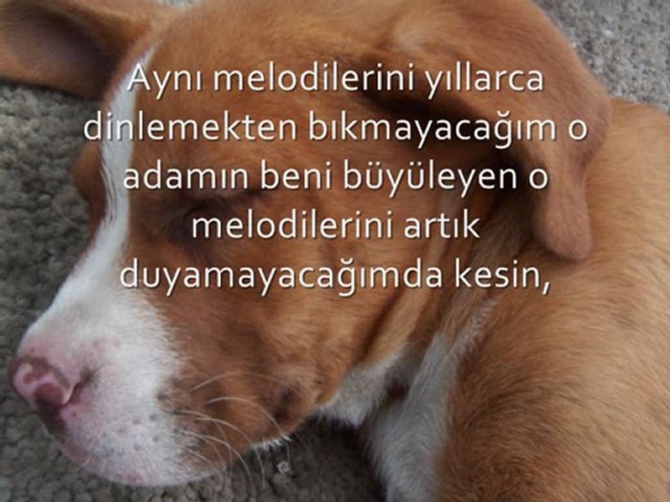 ----Kesin----