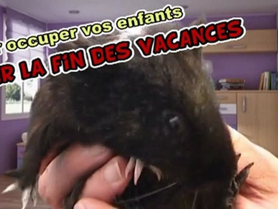 Pour occuper les enfants sur la fin des vacances