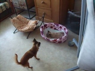 Giovanna fait connaissance avec Florentine