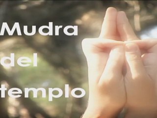 Los Mudras, El Poder Energético en tus Manos