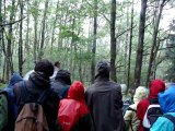 Chemins de rencontres 2011 : les hommes qui plantent des arbres