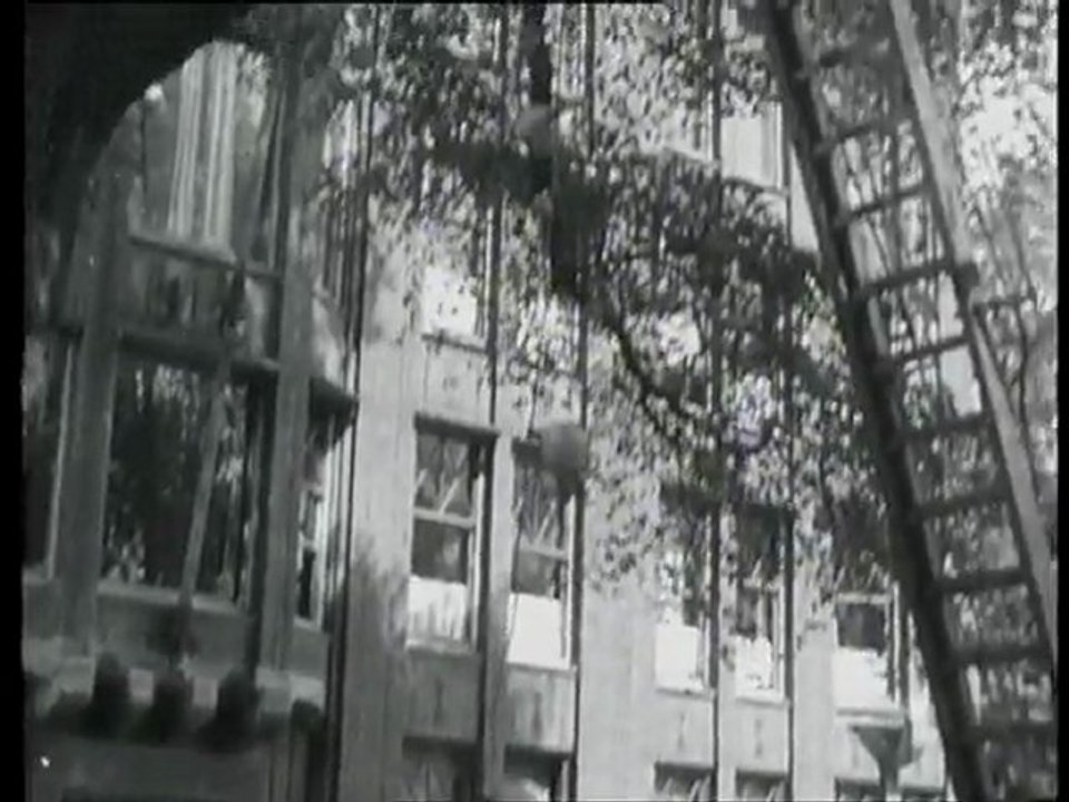 Hoogtepunten uit het jaar 1948 - Nieuws - Grote Gebeurtenissen -