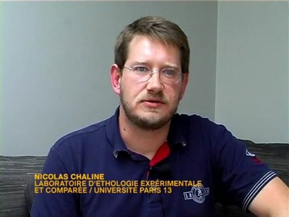 Interview Nicolas Chaline