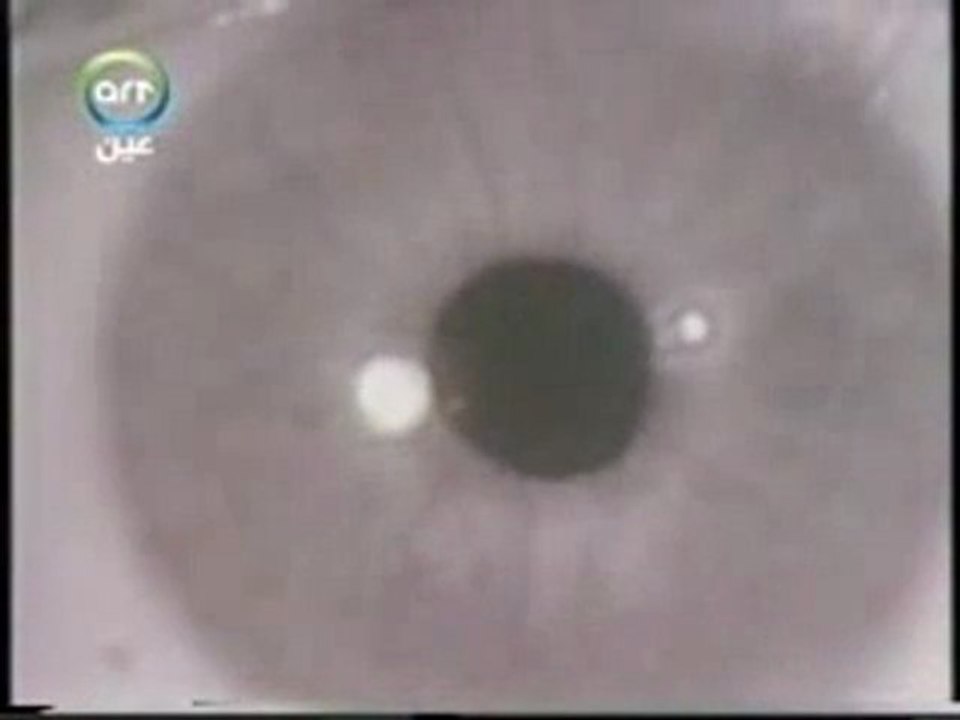 NVEExport.0004.flv