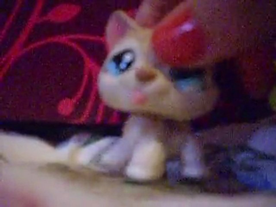 Petshop-de-Chloe... C'est fini !