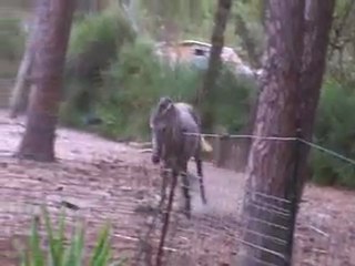 110826 en grande forme!!