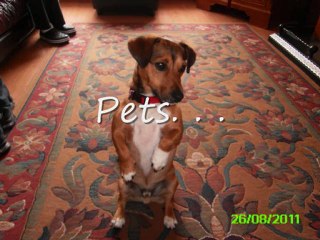 Photographs inspiration