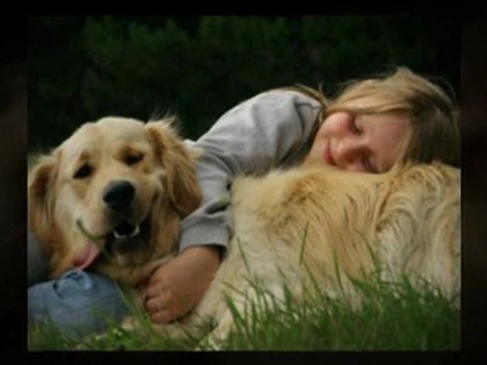 cure for dog skin problems