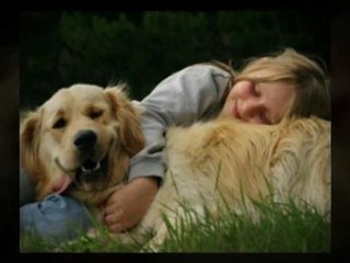 cure for dog skin problems