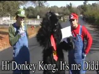 History of Stupid Mario Brothers: Season 1