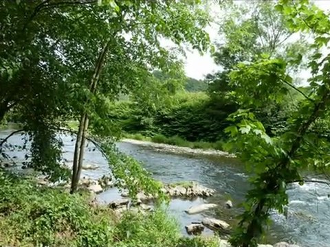 année 2011 - mois de mai et juin - nº 29