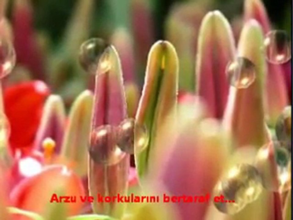Önce Her şey... Hayaldi...