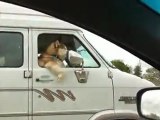 Dog Passagier