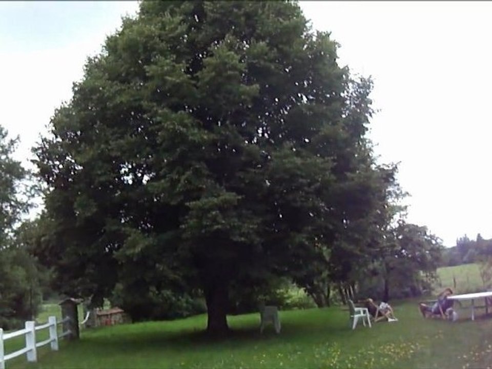 La Vaivre