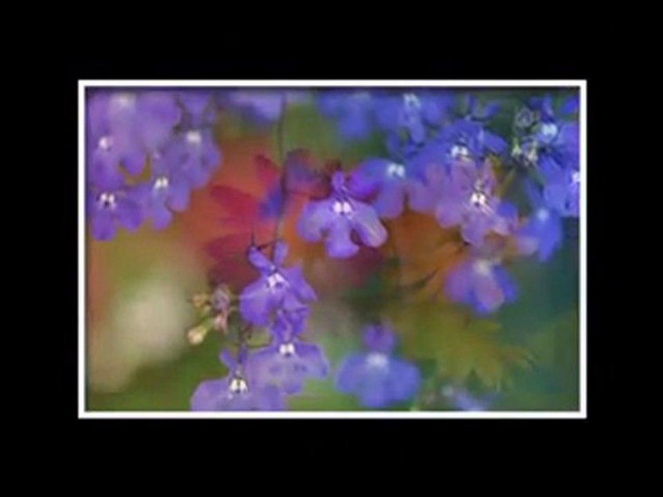 Рецепта за щастие