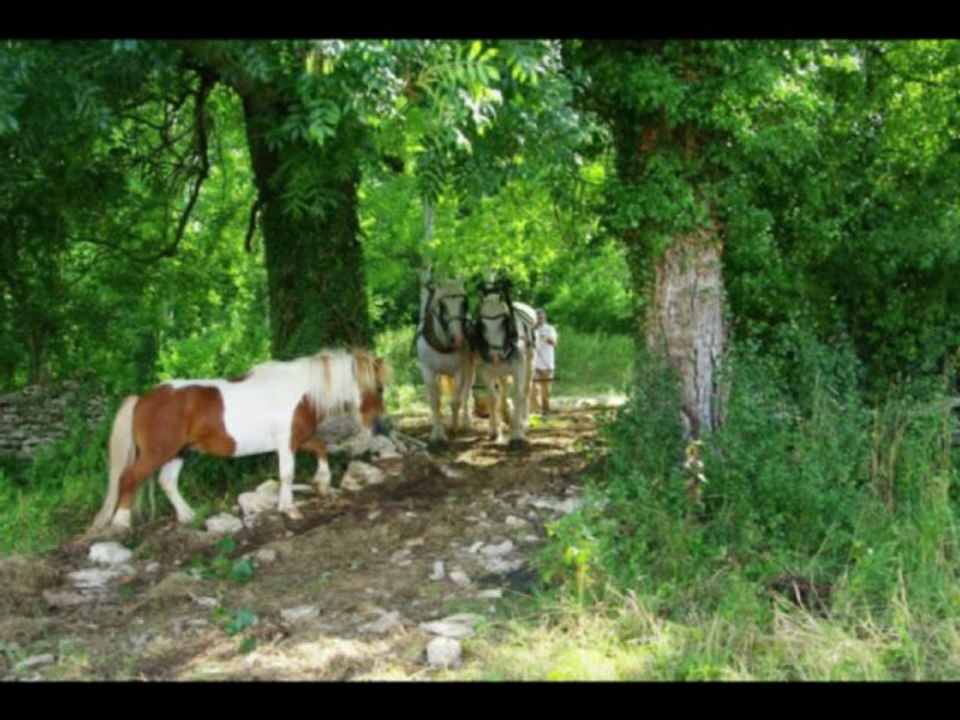 GABY ET SES 2 Juments