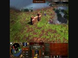 test Age of Empires