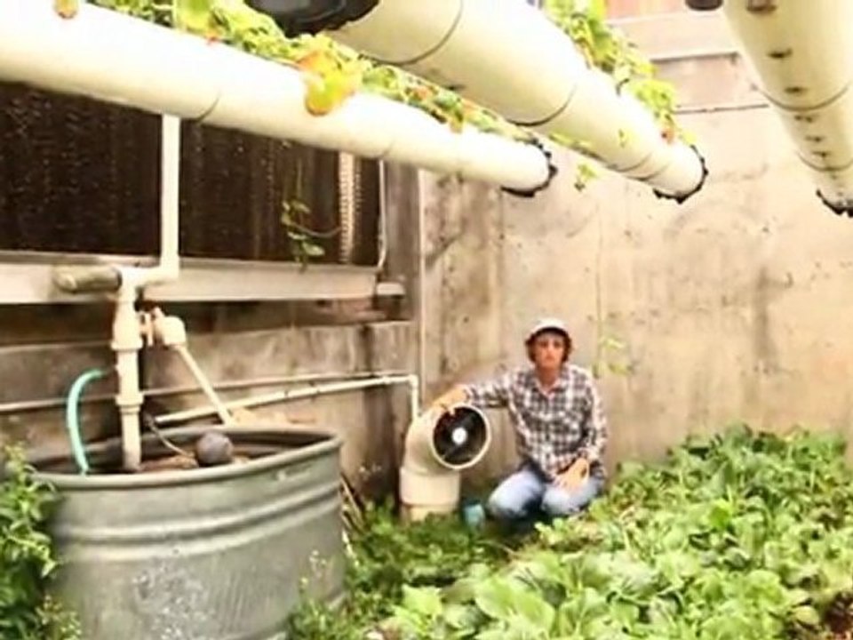 The Living Farm: Intro