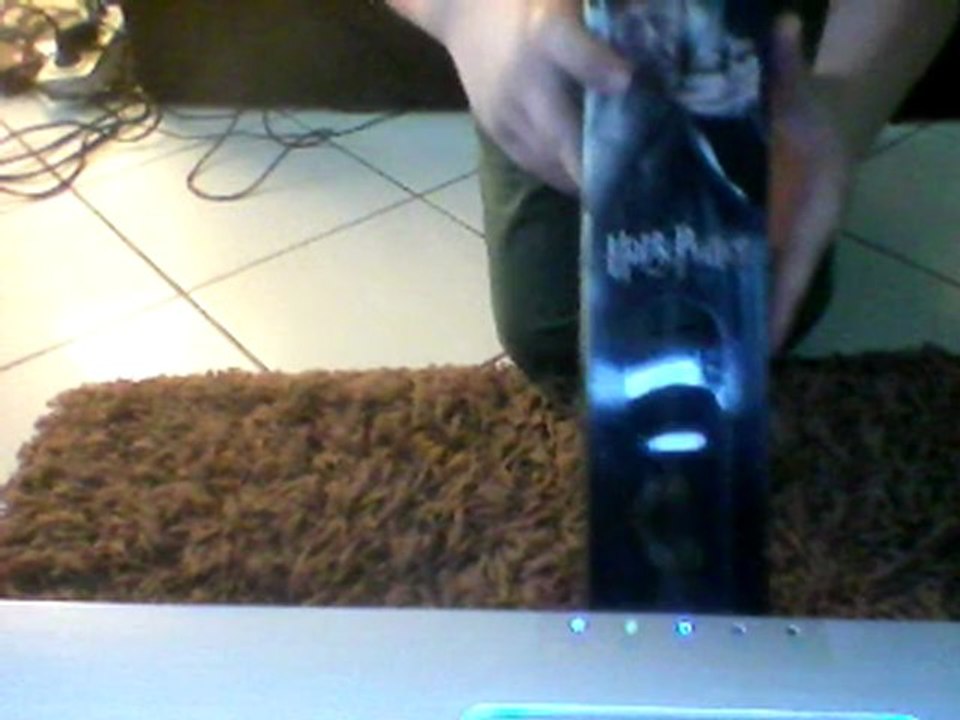 Baguettes Harry Potter