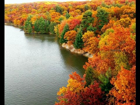 ''Muazzez Ersoy'' şiirin kalbi ve şiirin anlamı,İzze Keser.