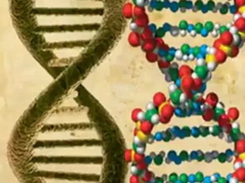 Здесь гадам не бывать! Светлана Пеунова