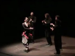 María José Franco baila en Flamenco viene del Sur