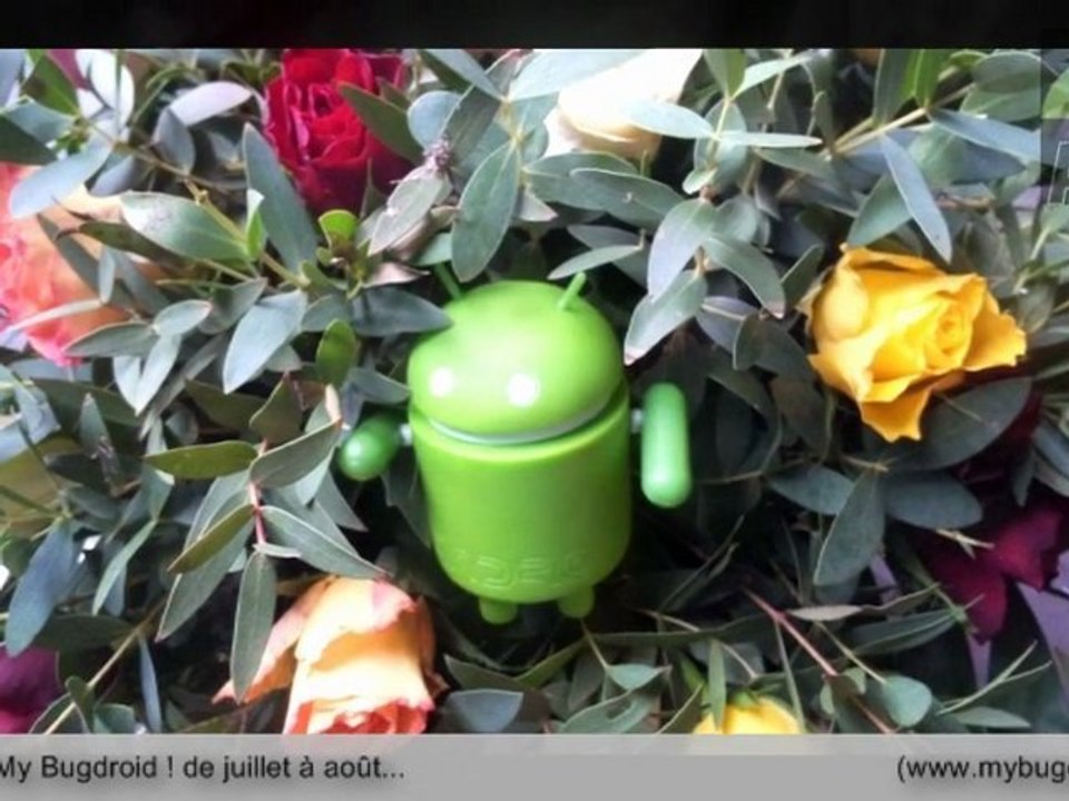 Bugdroid, juillet & août