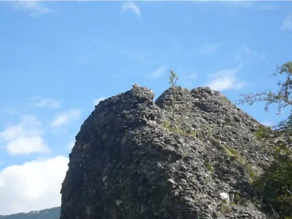 Les marmottes de Fort Vauban 05 -n°1