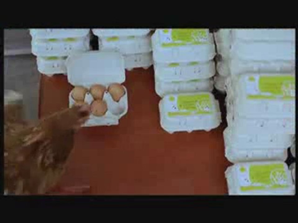 MIGROS
