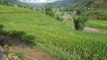 VOYAGE VIETNAM  : Video de la région de Sapa, les rizieres