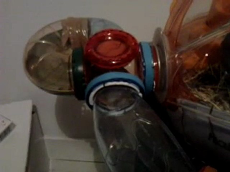 Compote crapahute