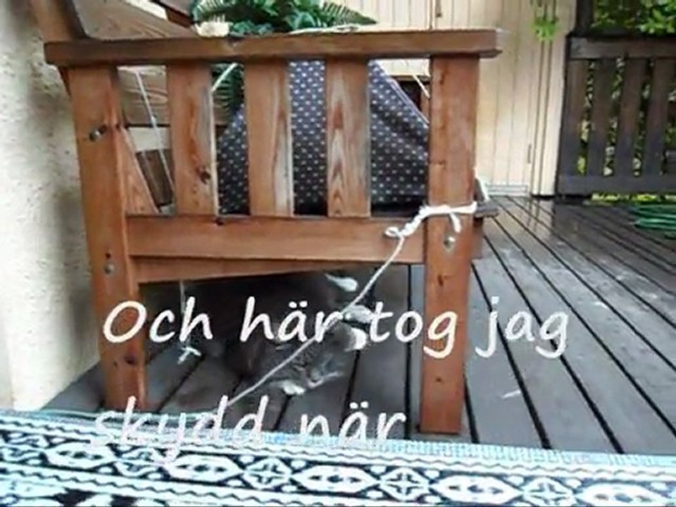 Film på Revis 27 och 28 Aug - 11. Med musik.