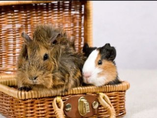 Aquaristik Bremerhaven Aquaristik Zoo- u. ...